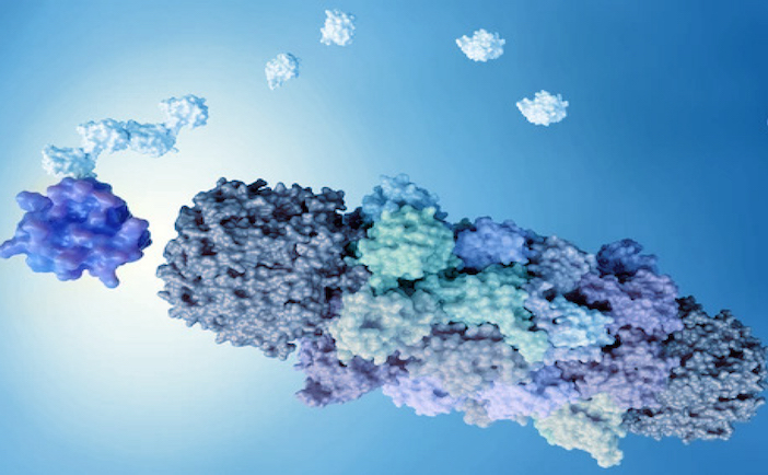 Three UbiQancer PIs are “Highly Cited Researchers 2024”